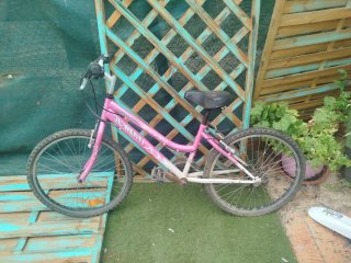 Bicicleta juvenil rosa JL-WENTI
