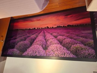 Cuadro Gigante Campo Lavanda Atardecer