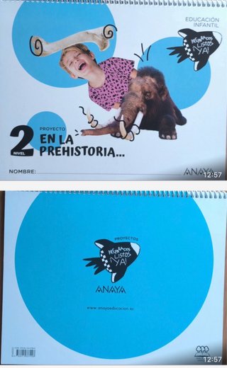 Proyecto educativo «En la prehistoria…», Nivel 2