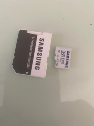 Samsung Scheda di memoria Evo plus 256 GB