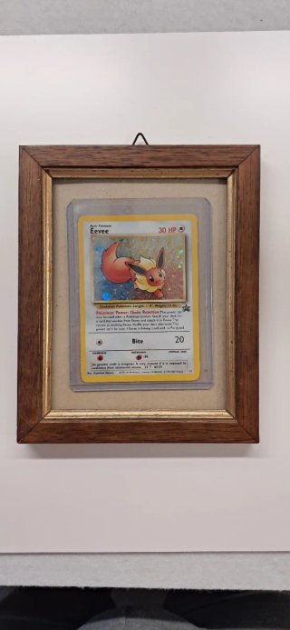 Pokèmon Eevee Holo n°11