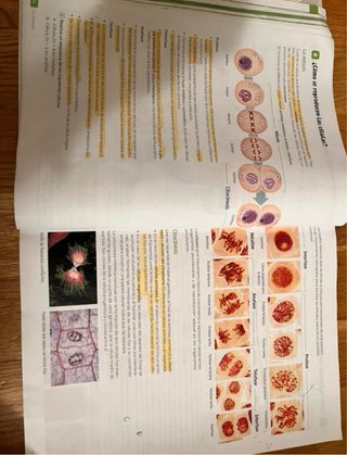 Biología y Geología, 4 Secundaria, Andalucía Re...