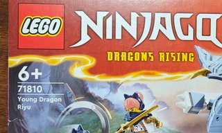 LEGO Ninjago 71810 Young Dragon Riyu