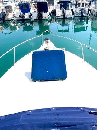 Barco Sea Ray 250 Sundancer