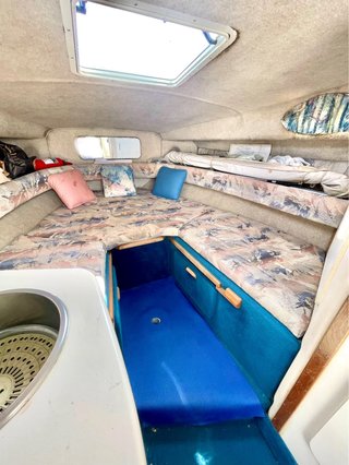 Barco Sea Ray 250 Sundancer