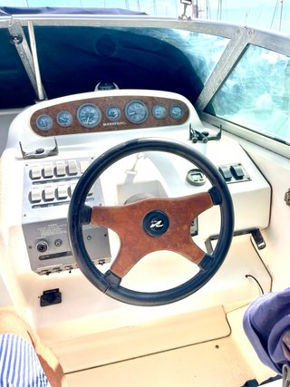 Barco Sea Ray 250 Sundancer