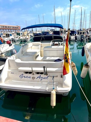 Barco Sea Ray 250 Sundancer