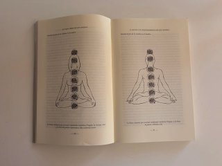 El gran libro de los chakras