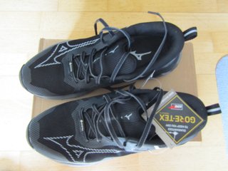 Zapatillas Mizuno Wave Ibuki 4 Gore-Tex