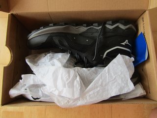 Zapatillas Mizuno Wave Ibuki 4 Gore-Tex