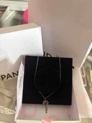 Collar Pandora Estrella Polar Plata