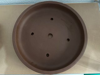 Maceta de bonsai  de alta Calidad XL