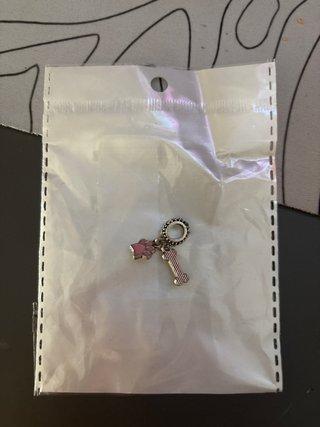 Colgantes para pulsera: pata y hueso