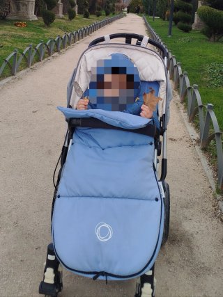 Bugaboo Camaleón 2016 Gris