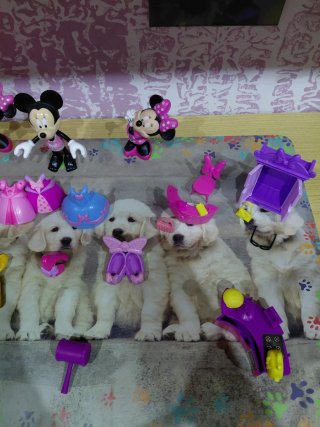 Set di Giocattoli Minnie Mouse
