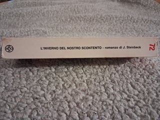 L'inverno del nostro scontento