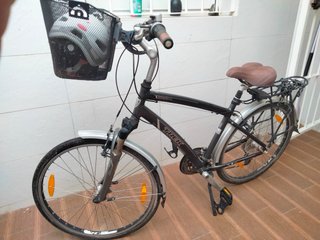 Bicicleta Trek Paseo con Cesta