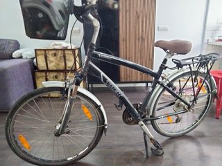 Bicicleta Trek Paseo con Cesta