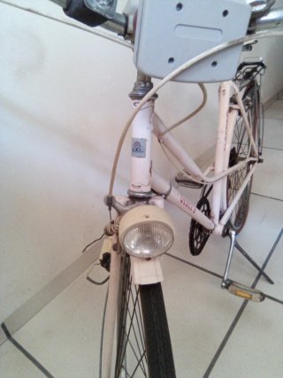 Bicicleta GAC rosa adulto