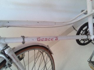 Bicicleta GAC rosa adulto