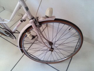Bicicleta GAC rosa adulto