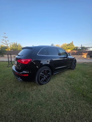 Audi SQ5 2017