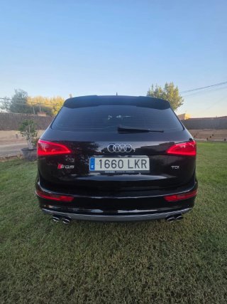 Audi SQ5 2017