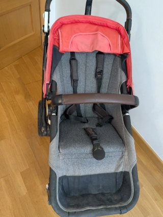 Carro Bugaboo Camaleón 3