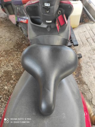 Sillín Bici Clásica SR Selle Royal