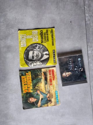 Lote Vinilos Antiguos Folk y Pop Rock