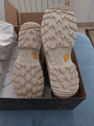 Botas Lowa Renegade Evo GTX MID Ws Talla 41