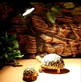 Portalamparas con 2Bombillas UVA 3.0 Tortugas