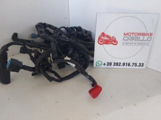 Cablaggio impianto elettrico Kawasaki Z900