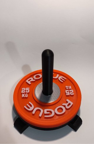 Posavasos Disco Pesa Rogue + Soporte