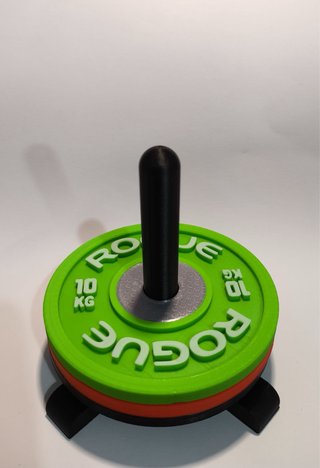Posavasos Disco Pesa Rogue + Soporte