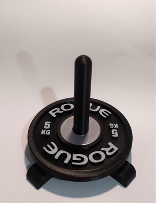 Posavasos Disco Pesa Rogue + Soporte
