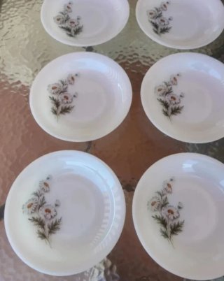 6 Platos Hondos Arcopal Flores