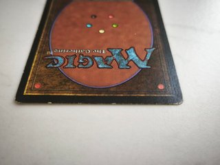 Carta Magic Tundra