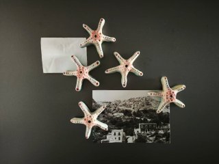 Imán Estrella de Mar Decorativo