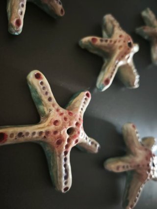 Imán Estrella de Mar Decorativo