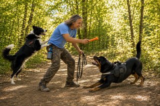 Cat Sitter & Dog Sitter Cuidador gatos y perros