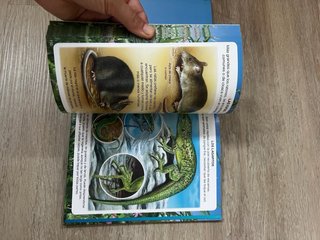 Diccionario por imágenes de los animalitos