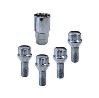 Set 4 tornillos antirrobo