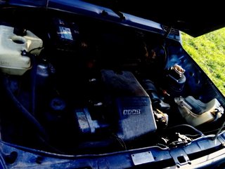 FIAT Panda 4x4 PREPARADO PARA RAID