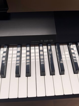 Piano Digital Casio CDP-120 88 Teclas