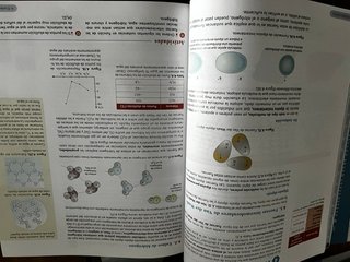 Física y Química 1 Bachillerato