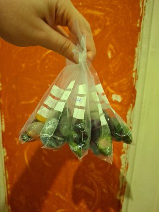 10 Minerales Sorpresa para Colgantes