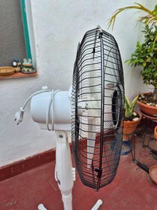 Ventilador de pie