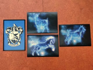 Harry Potter Colección Exclusiva Wizard World