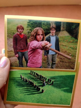 Harry Potter Colección Exclusiva Wizard World